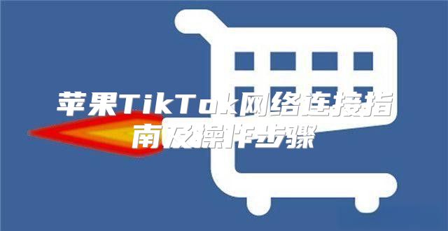 苹果TikTok网络连接指南及操作步骤