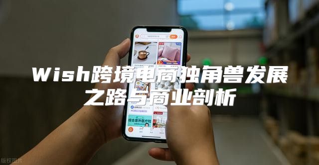 Wish跨境电商独角兽发展之路与商业剖析