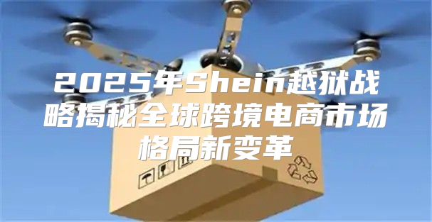 2025年Shein越狱战略揭秘全球跨境电商市场格局新变革