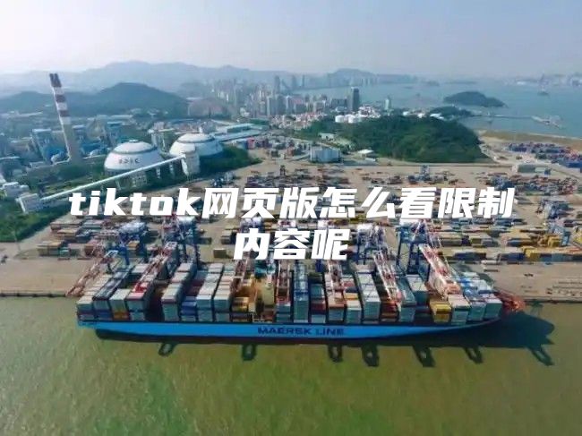 tiktok网页版怎么看限制内容呢