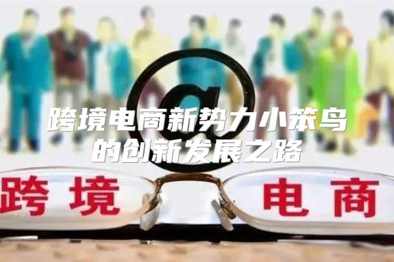 跨境电商新势力小笨鸟的创新发展之路