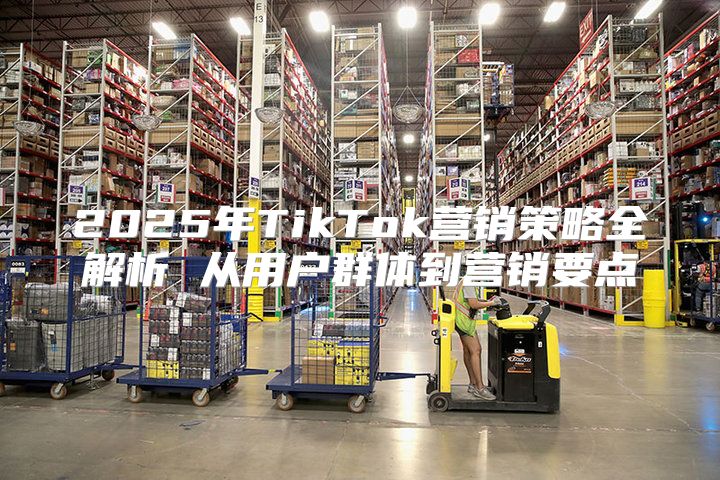 2025年TikTok营销策略全解析 从用户群体到营销要点