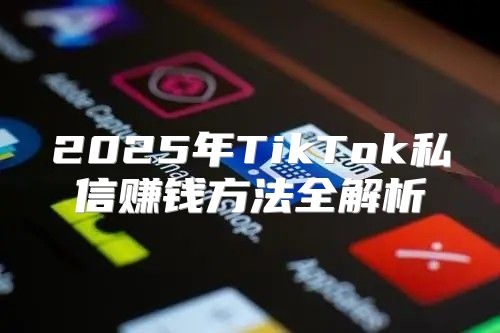2025年TikTok私信赚钱方法全解析