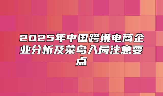 2025年中国跨境电商企业分析及菜鸟入局注意要点