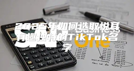 2025年如何选取悦耳有趣独特的TikTok名字