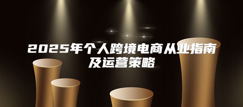 2025年个人跨境电商从业指南及运营策略