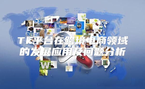 Tk平台在跨境电商领域的发展应用及问题分析