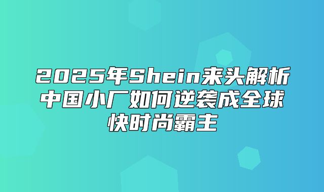 2025年Shein来头解析中国小厂如何逆袭成全球快时尚霸主