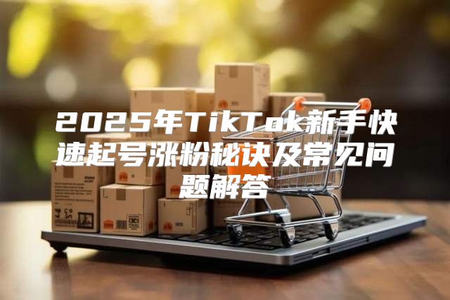 2025年TikTok新手快速起号涨粉秘诀及常见问题解答