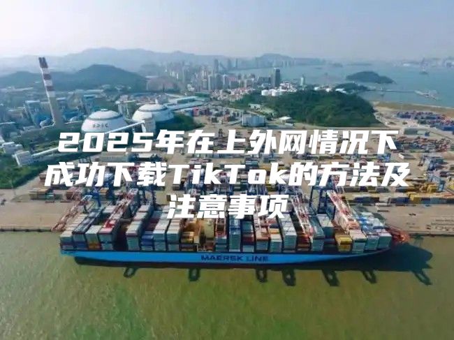 2025年在上外网情况下成功下载TikTok的方法及注意事项