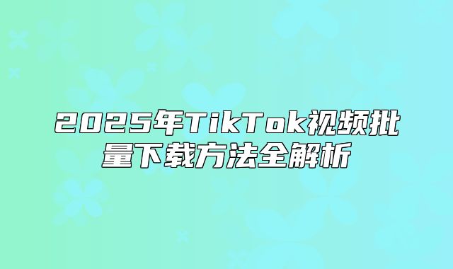 2025年TikTok视频批量下载方法全解析