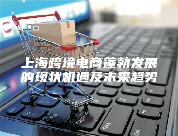 上海跨境电商蓬勃发展的现状机遇及未来趋势