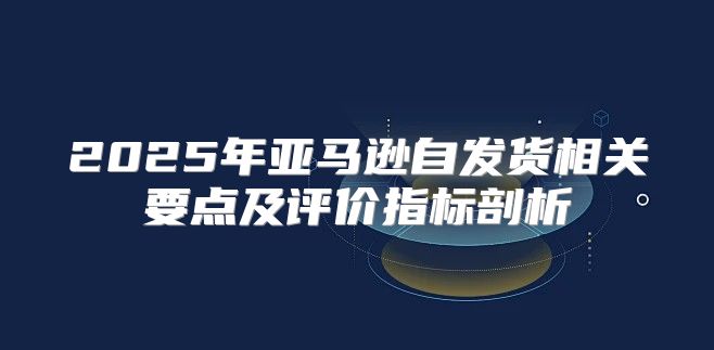 2025年亚马逊自发货相关要点及评价指标剖析