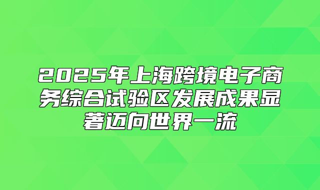 2025年上海跨境电子商务综合试验区发展成果显著迈向世界一流