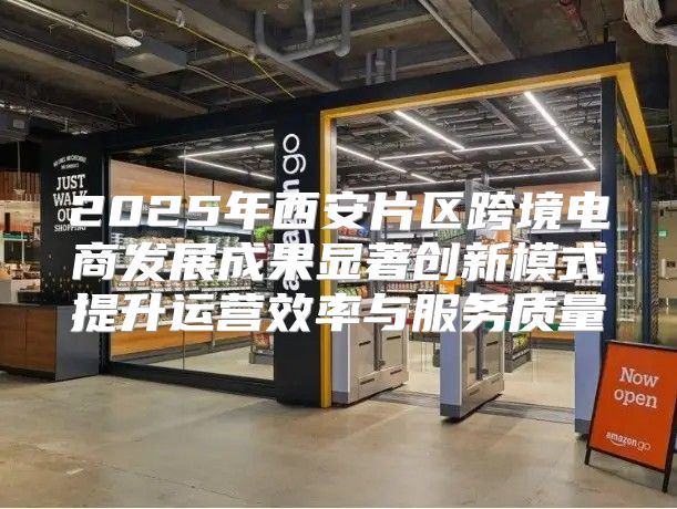 2025年西安片区跨境电商发展成果显著创新模式提升运营效率与服务质量