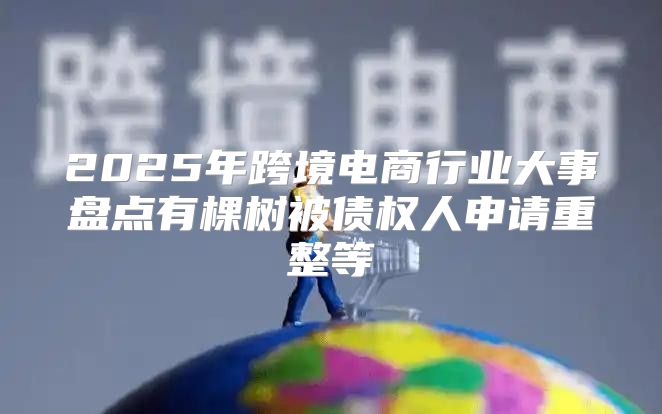 2025年跨境电商行业大事盘点有棵树被债权人申请重整等