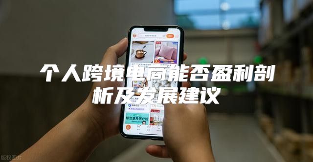 个人跨境电商能否盈利剖析及发展建议