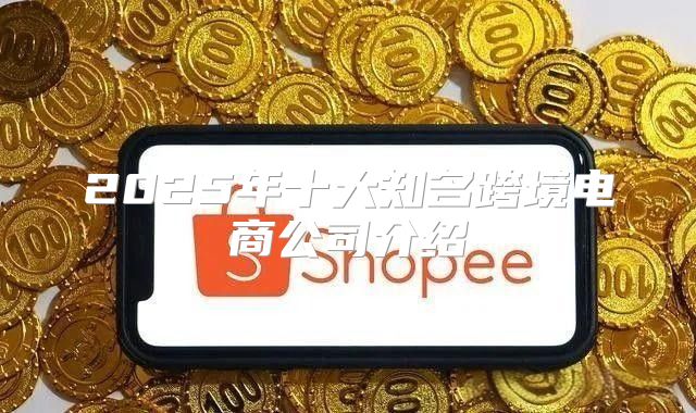 2025年十大知名跨境电商公司介绍