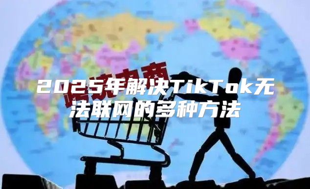 2025年解决TikTok无法联网的多种方法