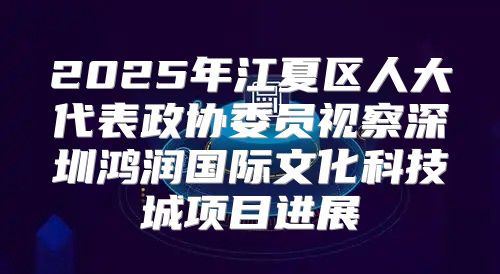2025年江夏区人大代表政协委员视察深圳鸿润国际文化科技城项目进展