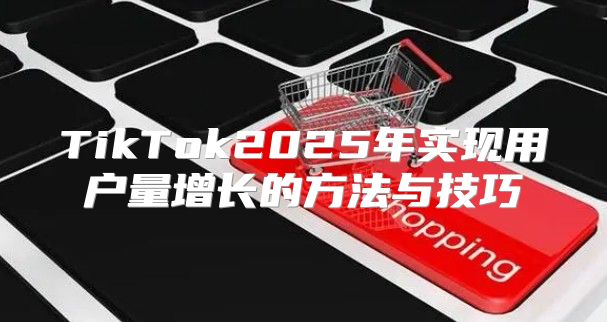 TikTok2025年实现用户量增长的方法与技巧