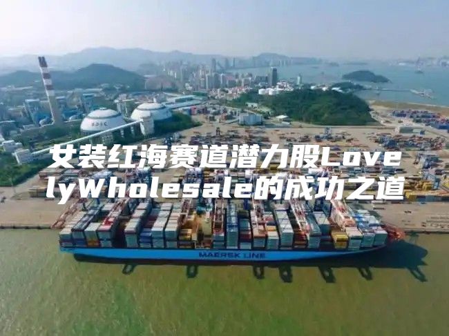 女装红海赛道潜力股LovelyWholesale的成功之道