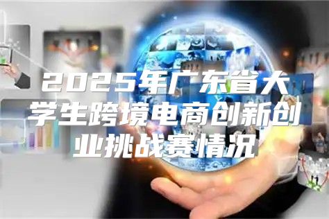 2025年广东省大学生跨境电商创新创业挑战赛情况
