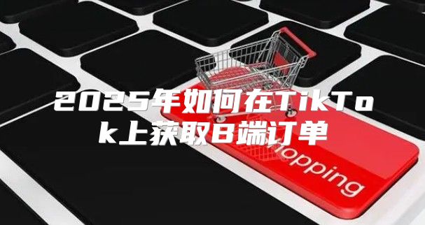 2025年如何在TikTok上获取B端订单