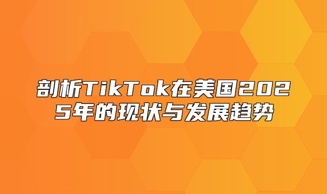 剖析TikTok在美国2025年的现状与发展趋势