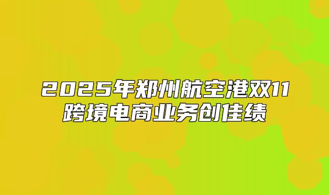 2025年郑州航空港双11跨境电商业务创佳绩