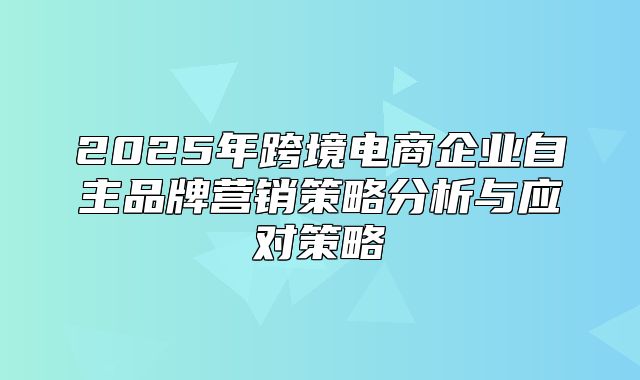 2025年跨境电商企业自主品牌营销策略分析与应对策略
