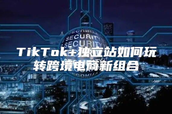 TikTok+独立站如何玩转跨境电商新组合