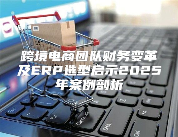跨境电商团队财务变革及ERP选型启示2025年案例剖析