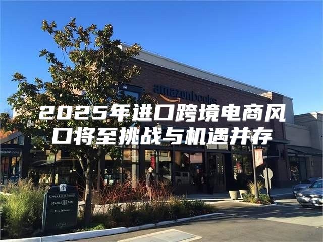 2025年进口跨境电商风口将至挑战与机遇并存