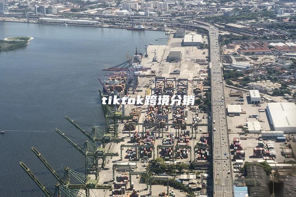 tiktok跨境分销
