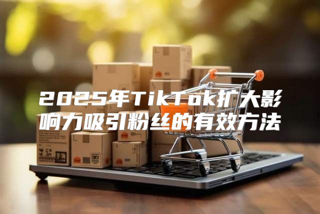 2025年TikTok扩大影响力吸引粉丝的有效方法