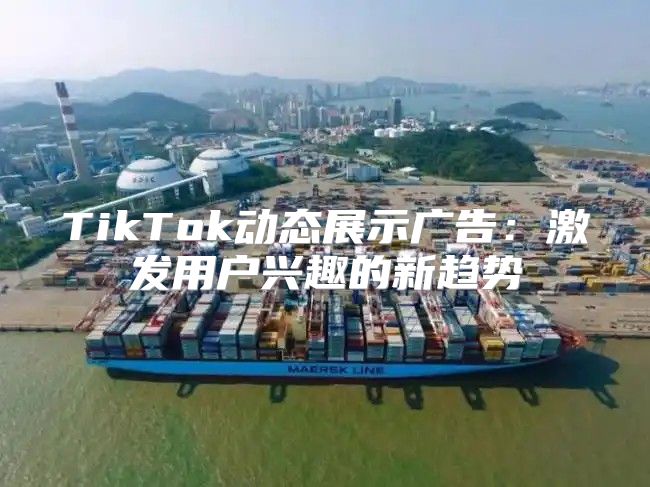 TikTok动态展示广告：激发用户兴趣的新趋势