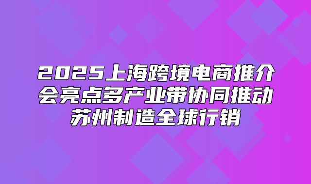 2025上海跨境电商推介会亮点多产业带协同推动苏州制造全球行销