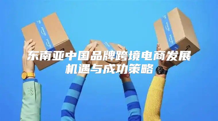 东南亚中国品牌跨境电商发展机遇与成功策略