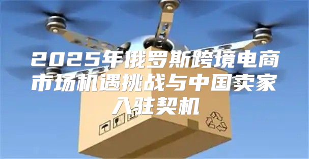 2025年俄罗斯跨境电商市场机遇挑战与中国卖家入驻契机