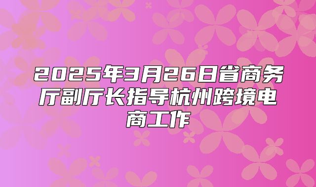 2025年3月26日省商务厅副厅长指导杭州跨境电商工作