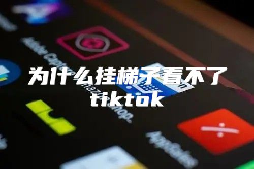 为什么挂梯子看不了tiktok