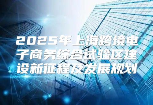 2025年上海跨境电子商务综合试验区建设新征程及发展规划