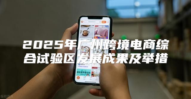 2025年广州跨境电商综合试验区发展成果及举措