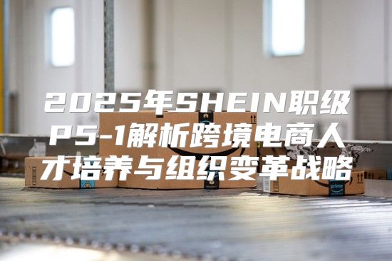 2025年SHEIN职级P5-1解析跨境电商人才培养与组织变革战略