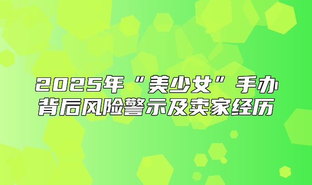 2025年“美少女”手办背后风险警示及卖家经历