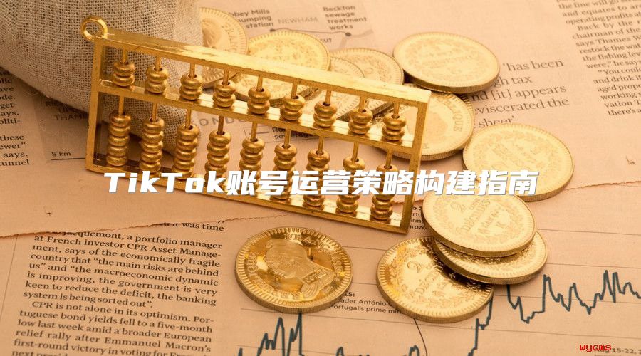 TikTok账号运营策略构建指南