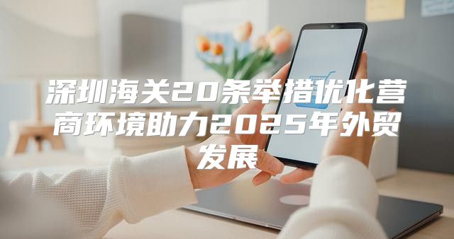 深圳海关20条举措优化营商环境助力2025年外贸发展