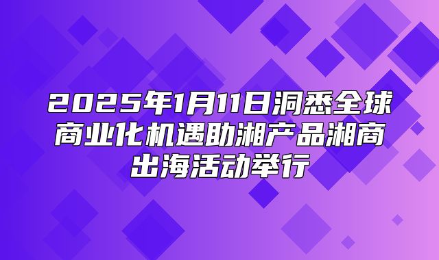 2025年1月11日洞悉全球商业化机遇助湘产品湘商出海活动举行