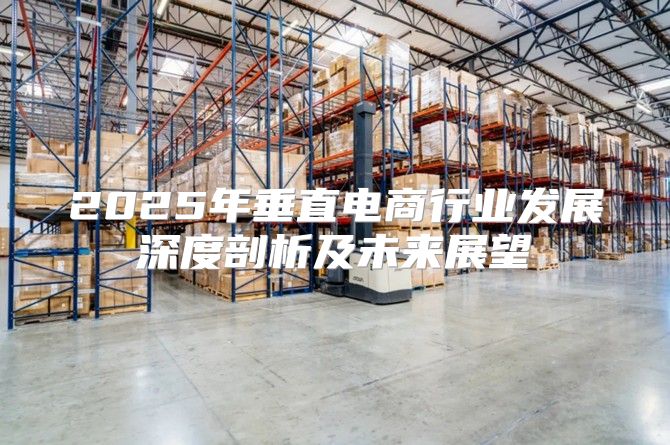 2025年垂直电商行业发展深度剖析及未来展望